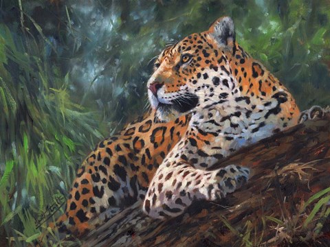 Framed Jaguar In Tree Print