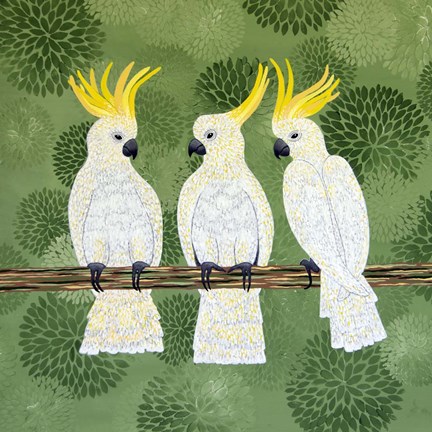 Framed Cockatoo Trio Print