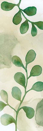 Framed Woodland Walk IX Print