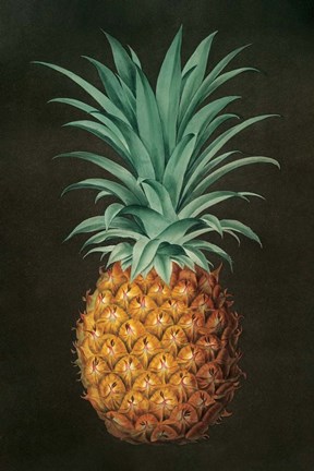 Framed Vintage Pineapple II Print
