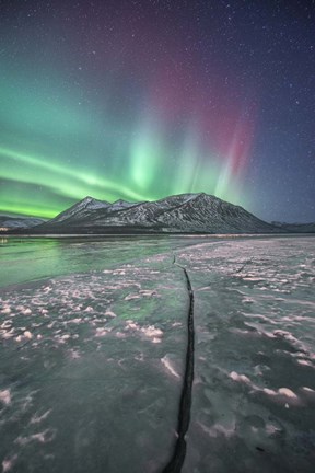 Framed Northern Lights, Carcross, Yukon, Canada Print