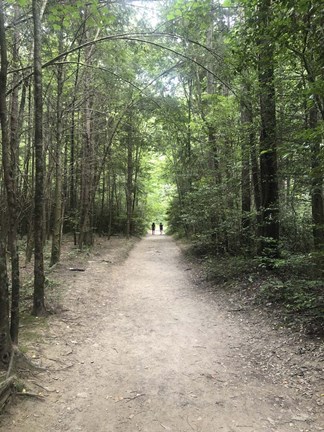 Framed Catawba Falls Trailhead, Asheville, North Carolina Print