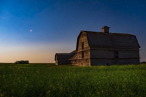 Framed Planet Mars Shining Over An Old Barn Amid a Field of Canola Print