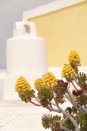 Framed Greek Details Print