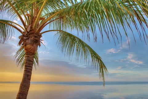 Framed Key West Print