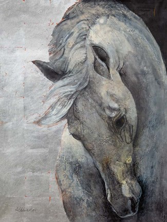 Framed Shy Grey Print