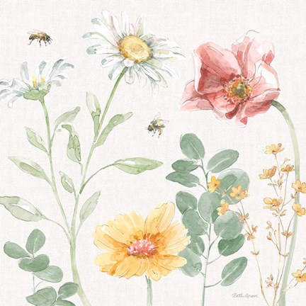 Framed Daisy Days II Print