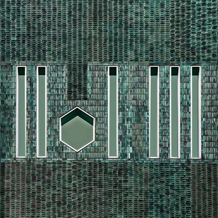 Framed Moza Wall Print