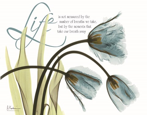 Framed Life Blue Print