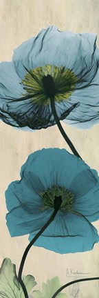 Framed Iceland Poppy Moments Print