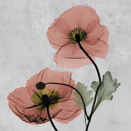 Framed Iceland Marsala 1 Print