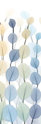 Framed Lanterns On White 1 Print