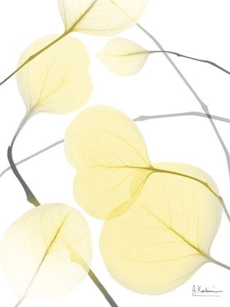 Framed Illuminated Eternity 2 Print