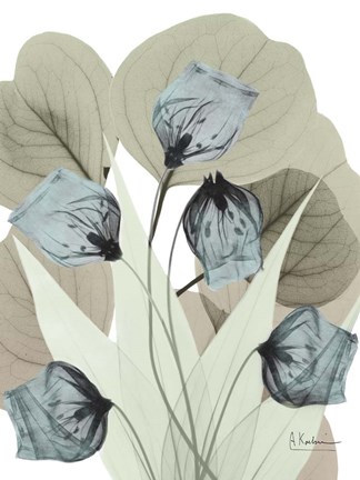 Framed Icy Declaration 2 Print