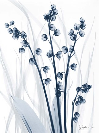 Framed Radiant Blues 1 Print