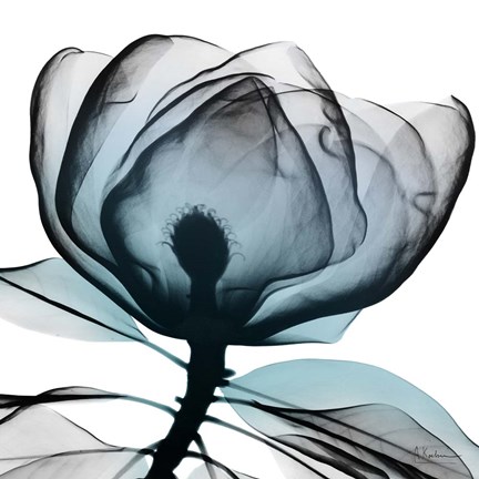 Framed Waking Midnight 1 Print