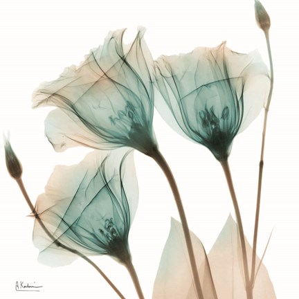 Framed Harvested Love 2 Print