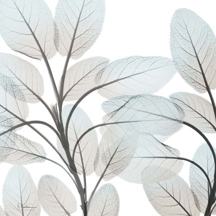 Framed Sandy Blooms 1 Print