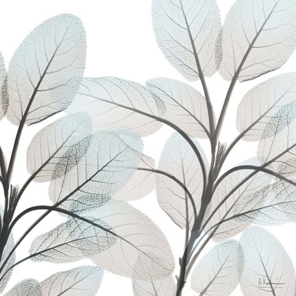 Framed Sandy Blooms 2 Print