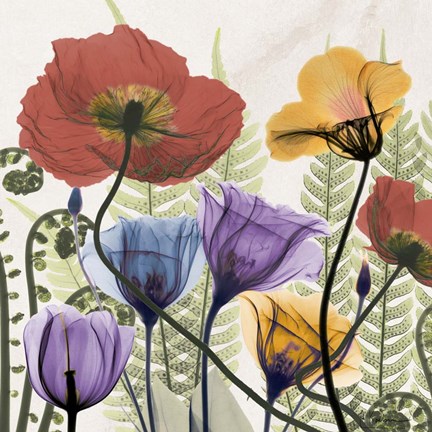 Framed Flowers And Ferns Print