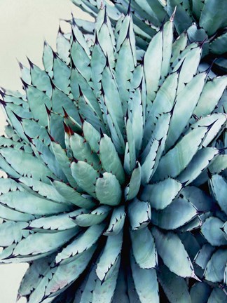 Framed Crushing Green II Print