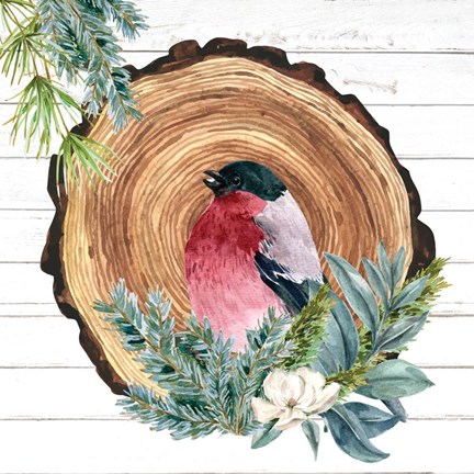 Framed Winter Birds 3 Print