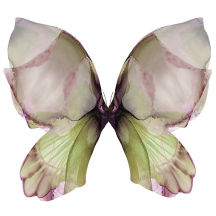 Framed Floral Butterfly 1 Print