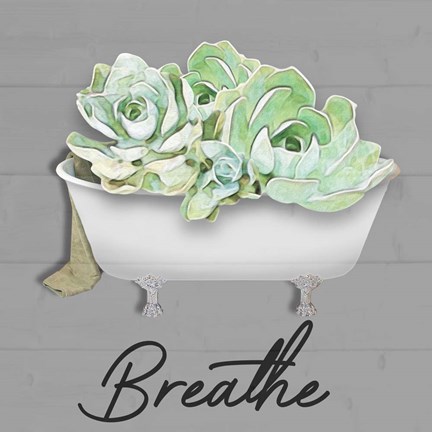 Framed Breathe Succulent Print