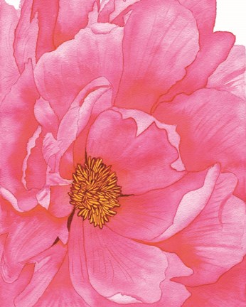 Framed Pink Flower 2 Print