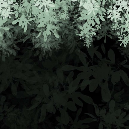 Framed Dark Tropical I Print