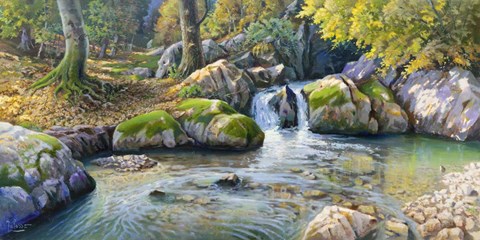 Framed Cascatella nel Bosco Print