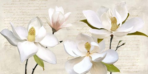 Framed Ivory Magnolia Print