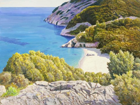 Framed Caletta assolata Print