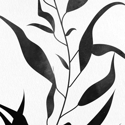 Framed Pressed 2 Print