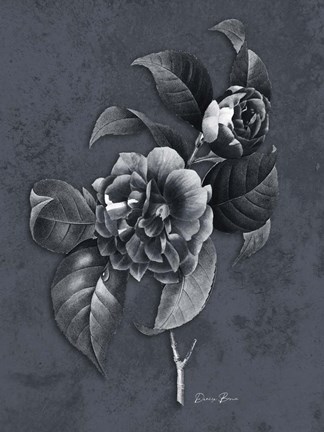 Framed Tranquil Botanical 2 Print