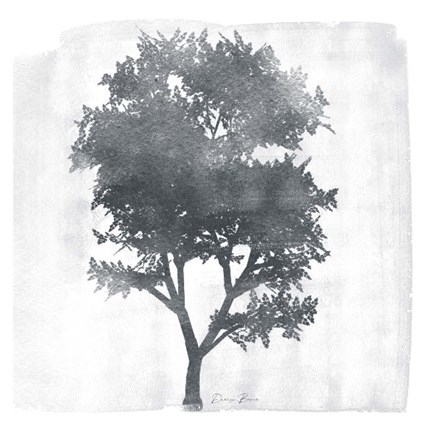 Framed Tree 2 Print