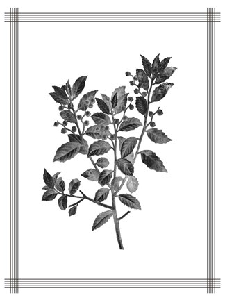 Framed Pressed 2 Print