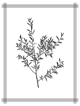 Framed Pressed 3 Print