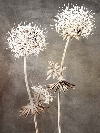 Framed Stand 2 Print