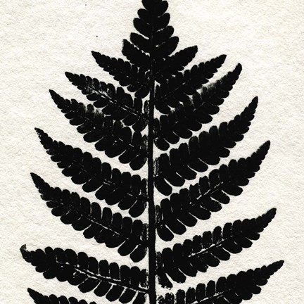 Framed Pressed Fern 2 Print