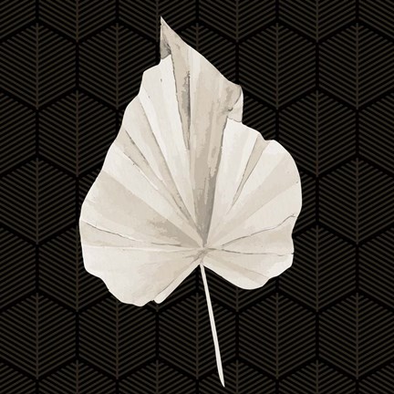 Framed On Black 1 Print