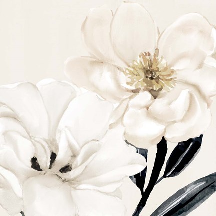 Framed Blossom Print