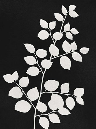 Framed Silhouetted Growth 2 Print