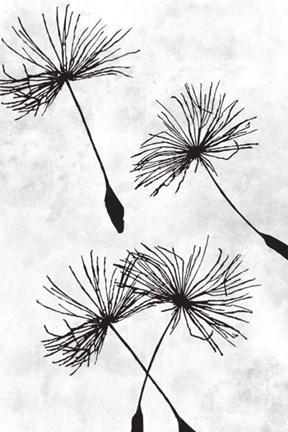 Framed Dandelion Flight 1 Print