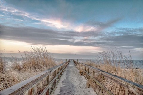 Framed Dramatic Entrance Print