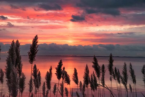 Framed Aspiring Priority Print