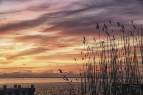 Framed Exclusive Liberty Print