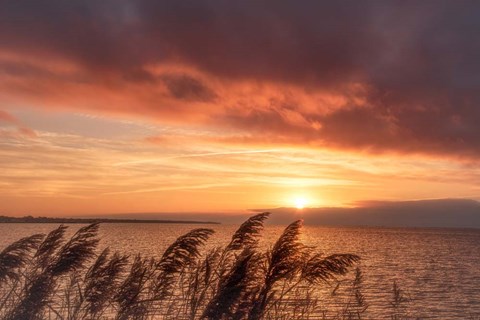 Framed Living Belief Print