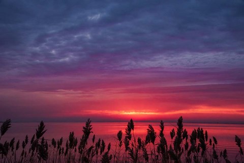 Framed Change Of Purpose Print