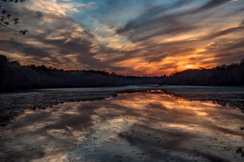 Framed Priority Of Reflection Print